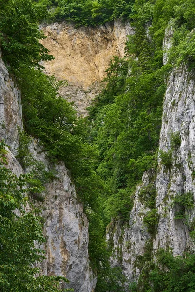 Deep canyon with cliffs
