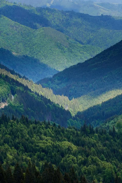Горы, покрытые пышными лесами — стоковое фото