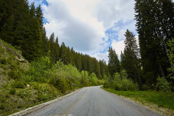 Strada che attraversa la foresta — Foto Stock