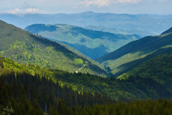 Βουνά που καλύπτονται από καταπράσινα δάση Royalty Free Εικόνες Αρχείου