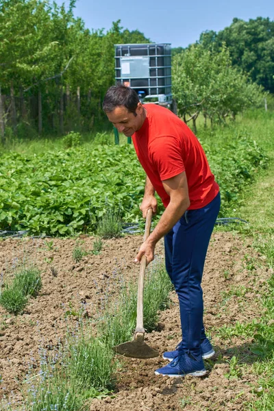 Agricultor que trabalha no terreno — Fotografia de Stock