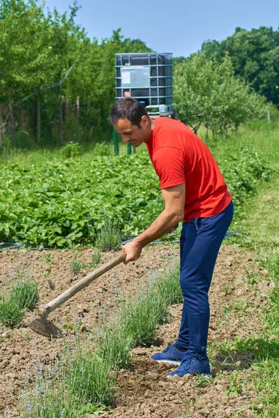 Farmář pracuje na poli — Stock fotografie