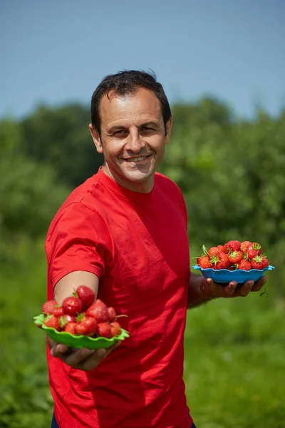 Bonde presentera jordgubbar — Stockfoto