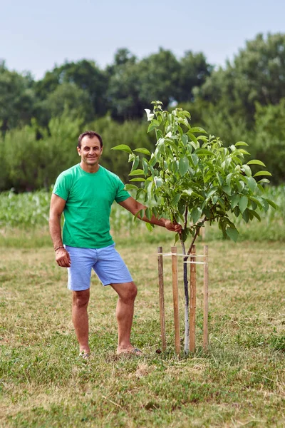 Kaukasische boer in de buurt van jonge walnut tree — Stockfoto