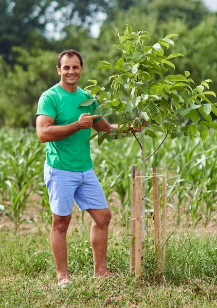 Agricultor caucasiano perto de nogueira jovem — Fotografia de Stock