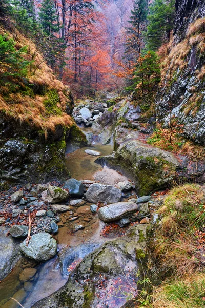 Kleurrijke, levendige landschap — Stockfoto