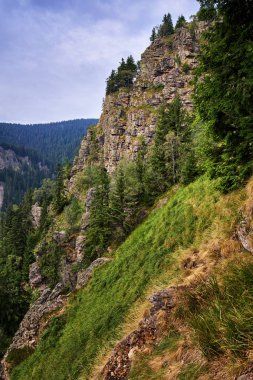 çam ormanları ile kaplı dağları