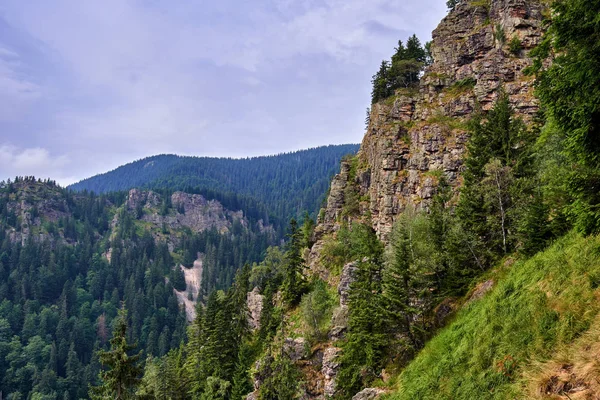 Berge mit Kiefernwald bedeckt — Stockfoto