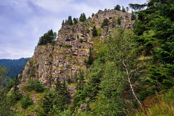 Montañas cubiertas de bosque de pinos — Foto de Stock