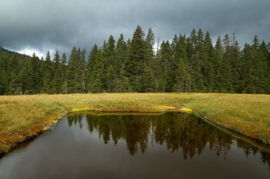 Ulusal rezerv bataklıkta turba