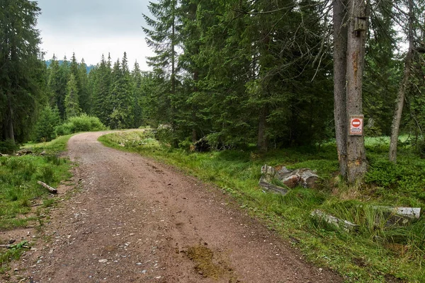 Sendero maderero a través del bosque — Foto de Stock