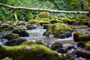 Galbena nehir ve gorge