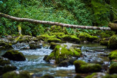 Galbena nehir ve gorge