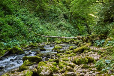 Galbena nehir ve gorge