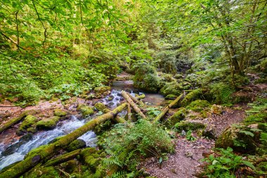 Galbena nehir ve gorge