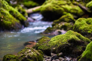 Galbena nehir ve gorge