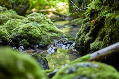 Galbena nehir ve gorge