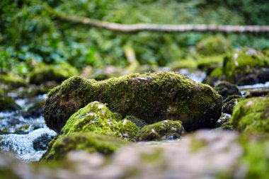 Galbena nehir ve gorge