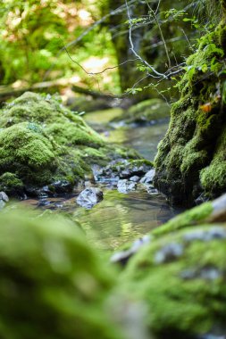 Galbena nehir ve gorge