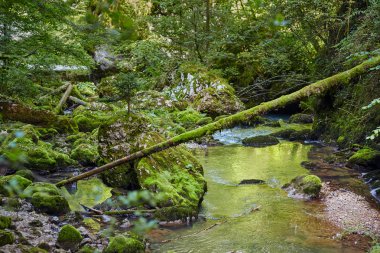 Galbena nehir ve gorge