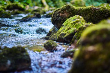 Galbena nehir ve gorge