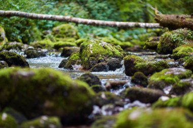 Galbena nehir ve gorge