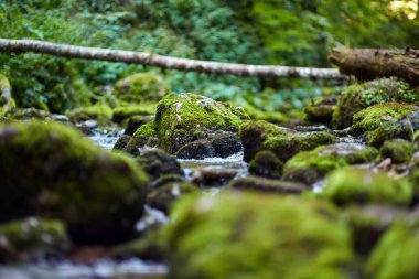 Galbena nehir ve gorge