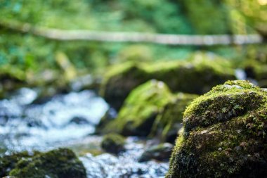 Galbena nehir ve gorge