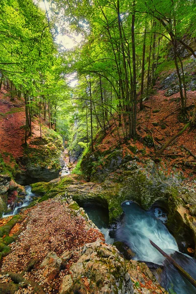 Galbena Fluss und Schlucht — Stockfoto