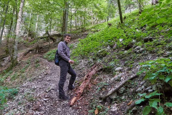 Teenage boy hiking on forest trail — Stock Photo, Image