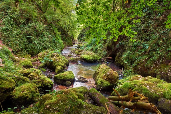 Galbena rivier en gorge — Stockfoto