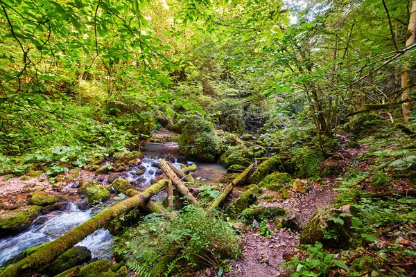 Galbena river och ravinen — Stockfoto