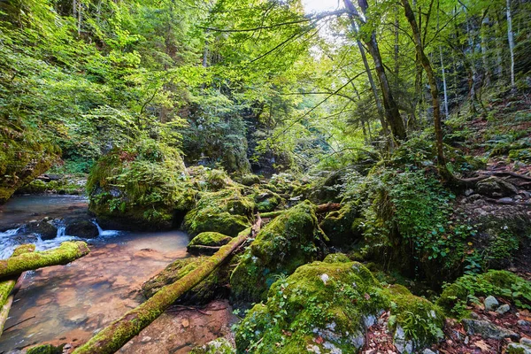 Río Galbena y garganta — Foto de Stock