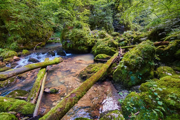 Galbena river and gorge — Stock Photo, Image