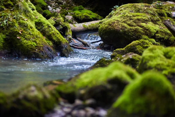 Fiume Galbena e gola — Foto Stock