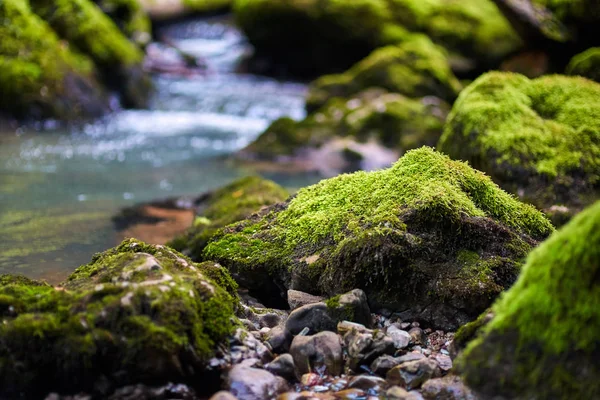 Galbena rivier en gorge — Stockfoto