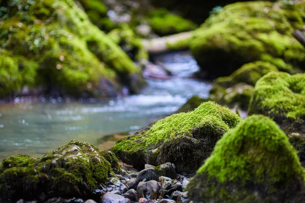 Galbena rivier en gorge — Stockfoto