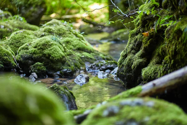 Galbena nehir ve gorge