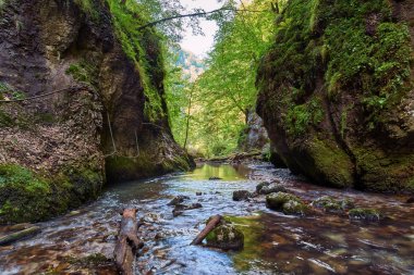Galbena nehir ve kanyon