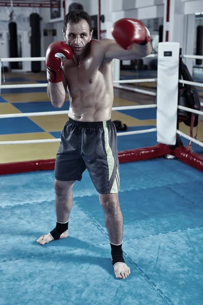 Boks Kickbox avcı 