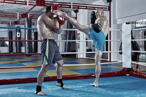 İki muay Tay savaşçı