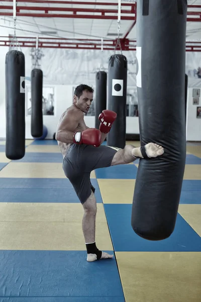 Entrenamiento de combate Kickbox —  Fotos de Stock