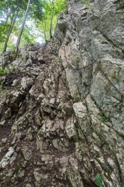 Emanet tırmanma zinciri