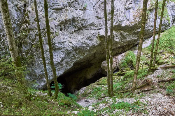 Galbena mağaranın içine giriş