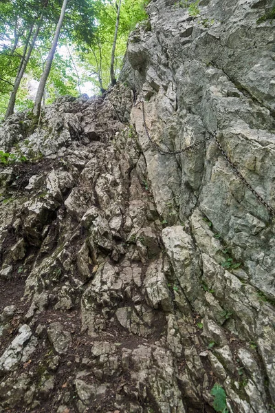 Emanet tırmanma zinciri