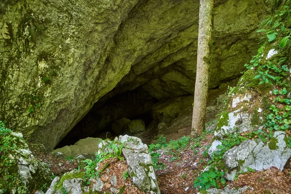 Ingang in de Galbena grot — Stockfoto