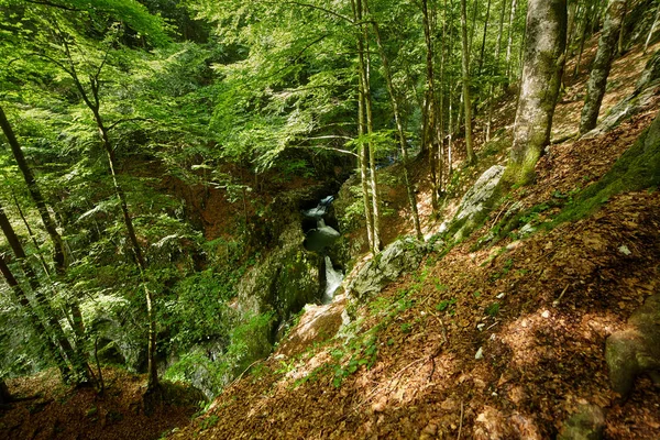 Galbena river in Romania — Stok fotoğraf