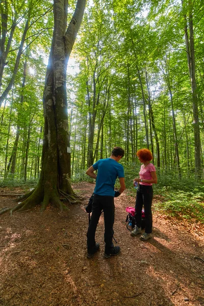 Turisté na stopě — Stock fotografie