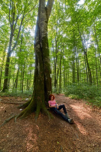Frau ruht sich neben großem Baum aus — Stockfoto