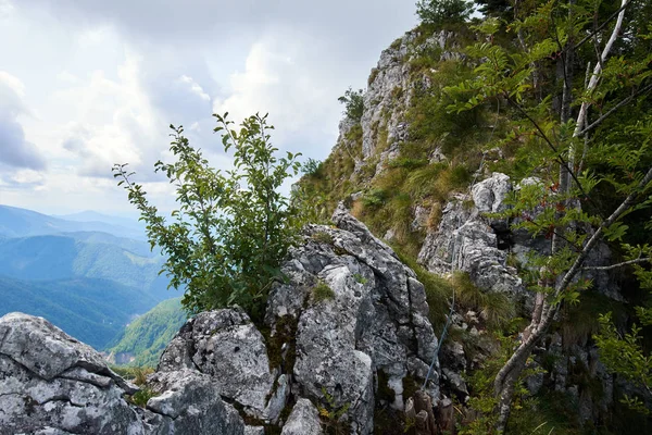 Krajina s vápencovými horami — Stock fotografie